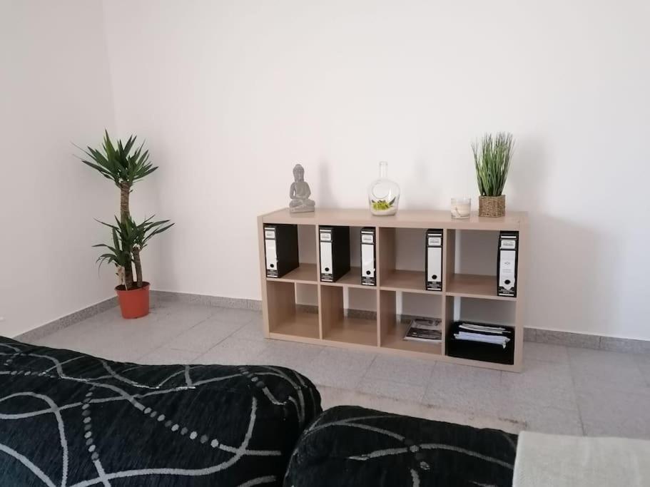 Ferienwohnung Cantinho Dos Montes Vila Real Exterior foto
